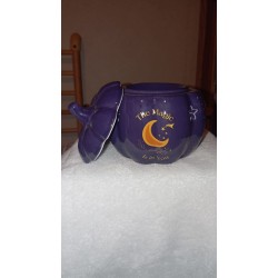 Magic Pumpkin