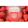 Stella-Candles - Bruleur Confiture