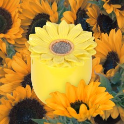 Brûleur Tournesol